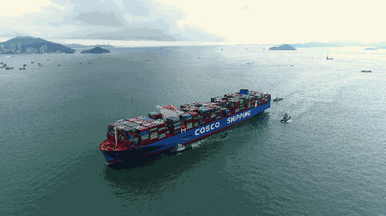 船岸同心周密部署中远海运集运成功防抗台风黑格比丨航运界