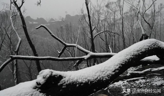 暴雪马上空降新州！悉尼迎全年最冷天！澳洲连发26条天气预警