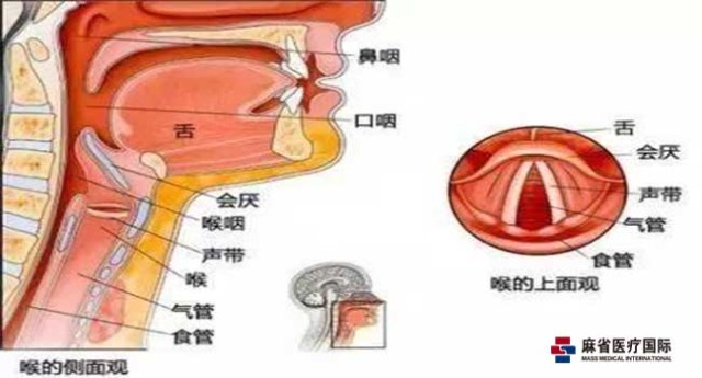 食道癌复查报告食管癌被确诊多为中晚期,番茄提醒,长期吸烟饮酒史