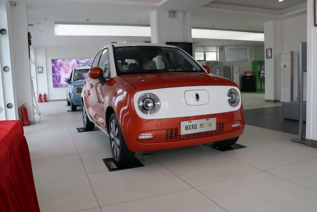 到店实拍欧拉黑猫呆萌的都市小精灵