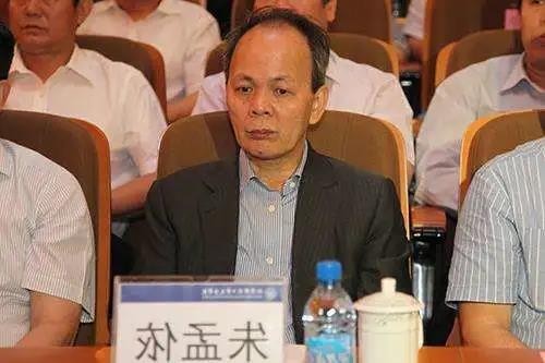 合生创展集团创始人 朱孟依