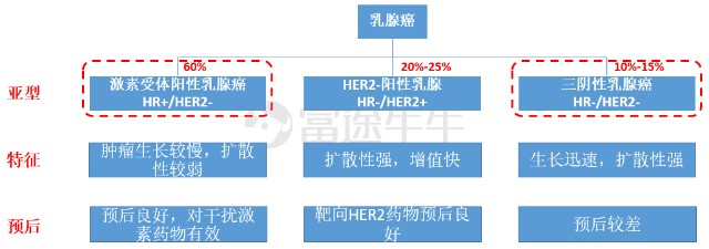 背靠“豪华基石团