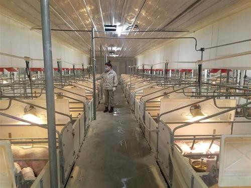 养猪堪比开银行牧原股份单季利润102亿河南首富入围胡润榜前十