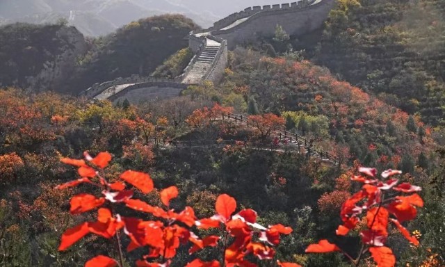 翻倍黑马 负剑狂歌 跃马扬鞭走山河 财富号 东方财富网