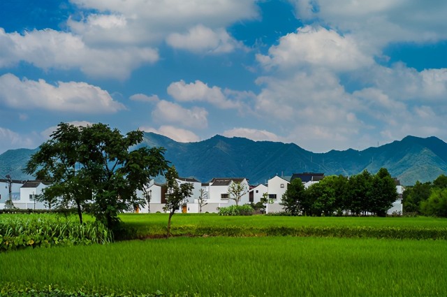 来自“富春山居图实景地”的盛情邀约