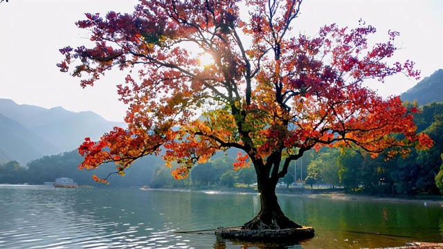 来自“富春山居图实景地”的盛情邀约