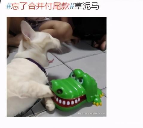 熬夜付尾款居然还亏了网友拼多多快来救救宝宝吧