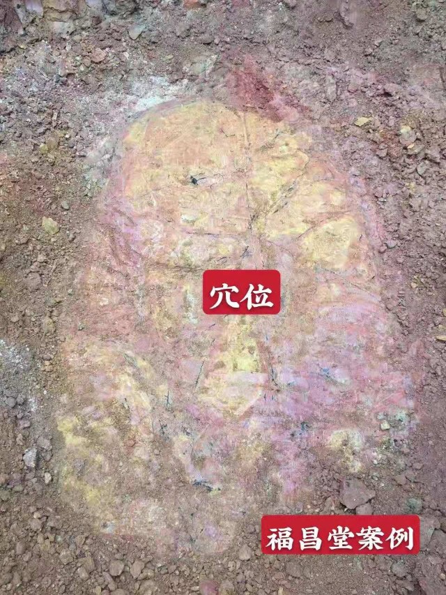 2020首届中国当代金牌风水师传承者推广大赛中荣获一等奖
