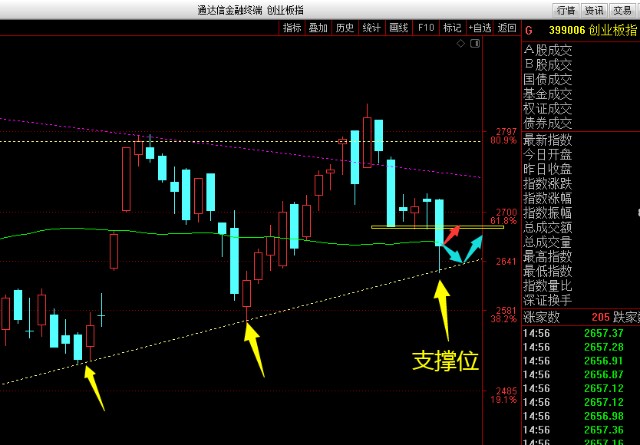 五朵金花_财富号_东方财富网