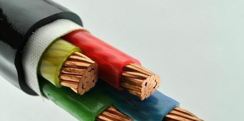 廣東省電線電標(biāo)準(zhǔn)化技術(shù)委員會（第二屆）成立