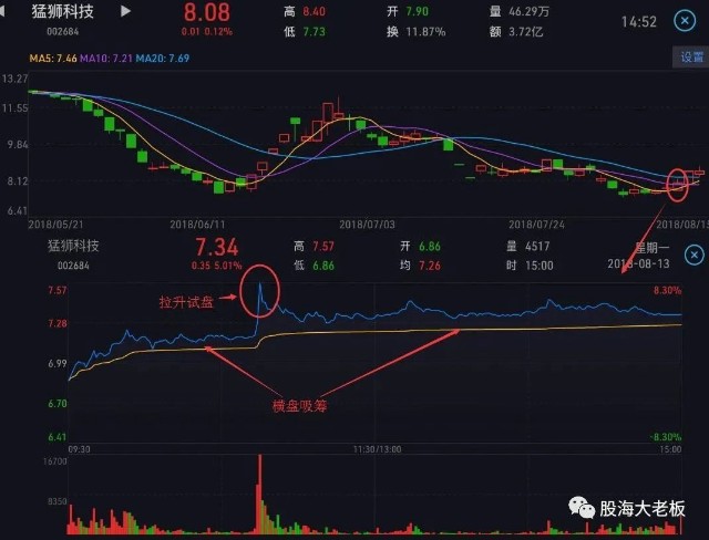 如何看分时图？如何读懂分时图？