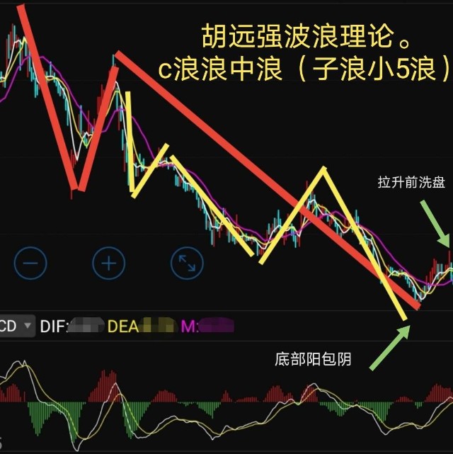 胡远强波浪理论c浪浪中浪
