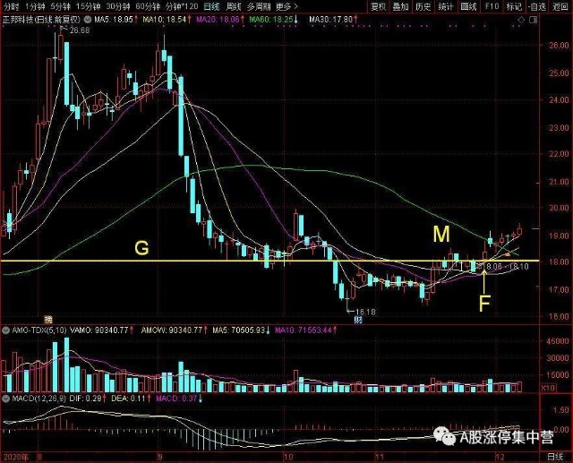 正邦科技 建了88个高标实验室的猪企可不多见