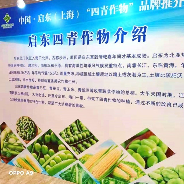 中国启东 上海 四青作物 品牌推介会昨举行 财富号 东方财富网