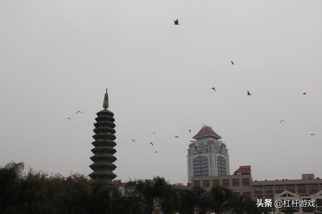 爱尔眼科该道歉吗？维权风波背后：股价突飞猛进背后大佬硬核