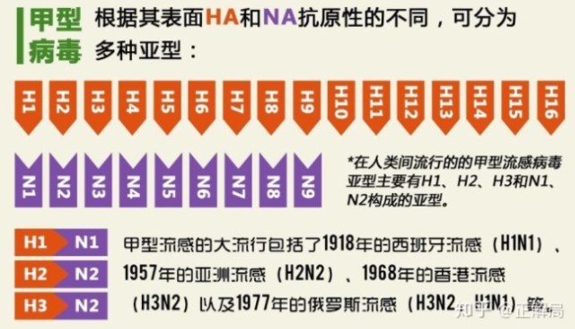 华兰生物招聘_华兰生物,一家躺着赚钱的公司,会是下一个百倍股吗