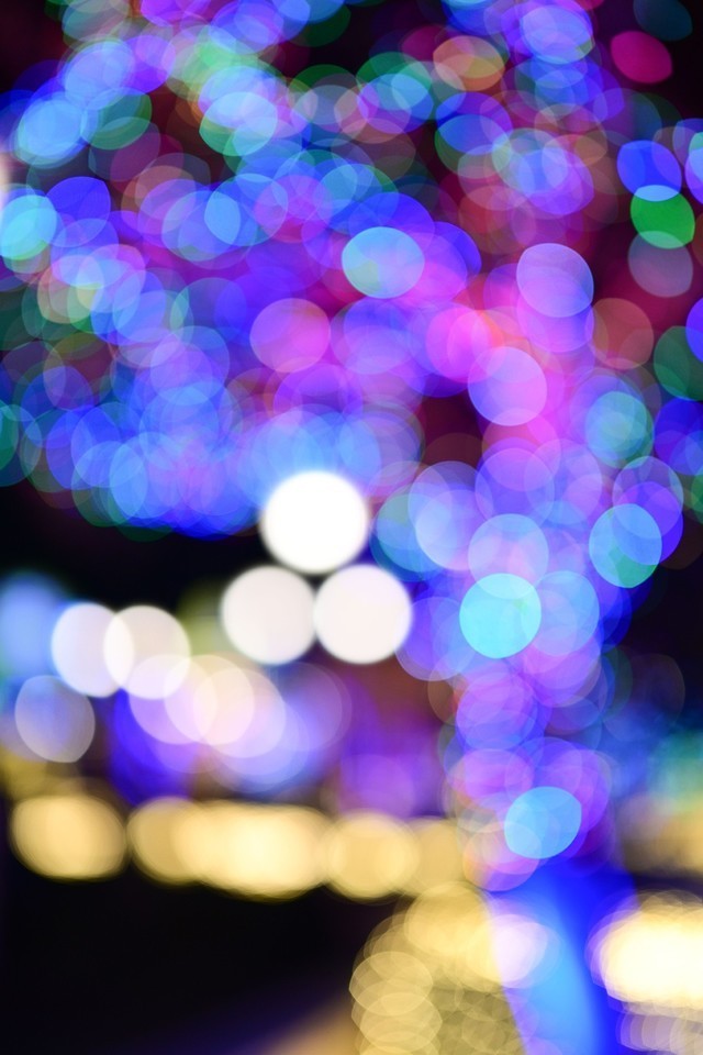 大光圈虚化优美尼康z50mmf12实拍体验