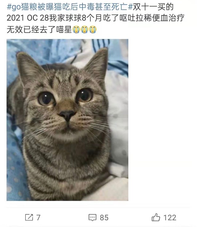 进口劣质猫粮事件发酵 代理商曾受处罚 宠物食品维权难题待解 财富号 东方财富网