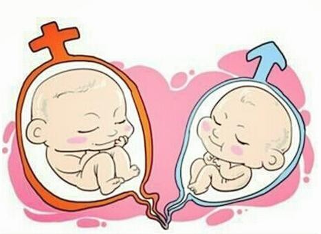 两步移植法移植两个胚胎成双胞胎的多吗？