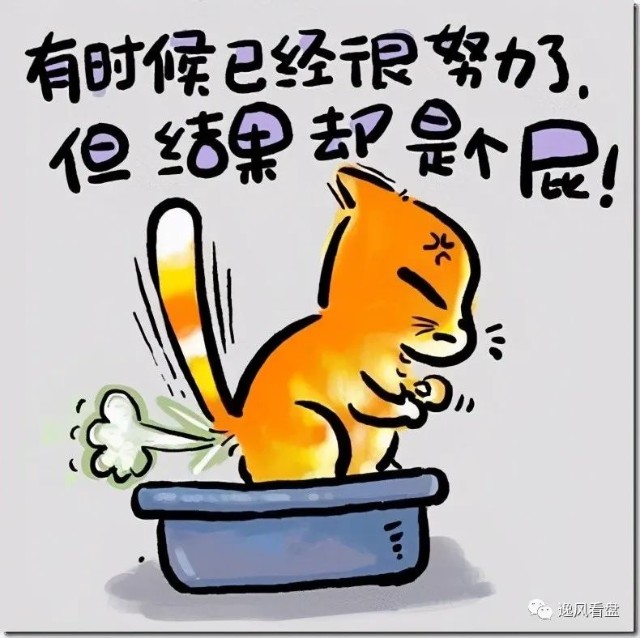 努力的人运气不会差但你真努力对了吗