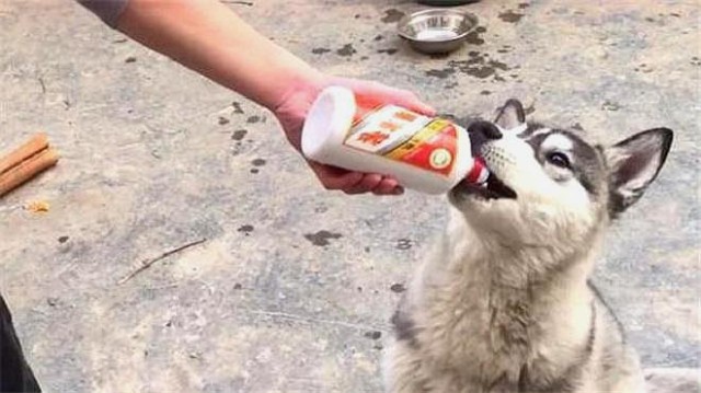 买股票送茅台手把手教你薅上市公司的羊毛