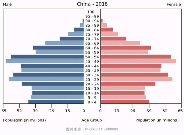 印度人口有多少人._印度有多少人口(2)