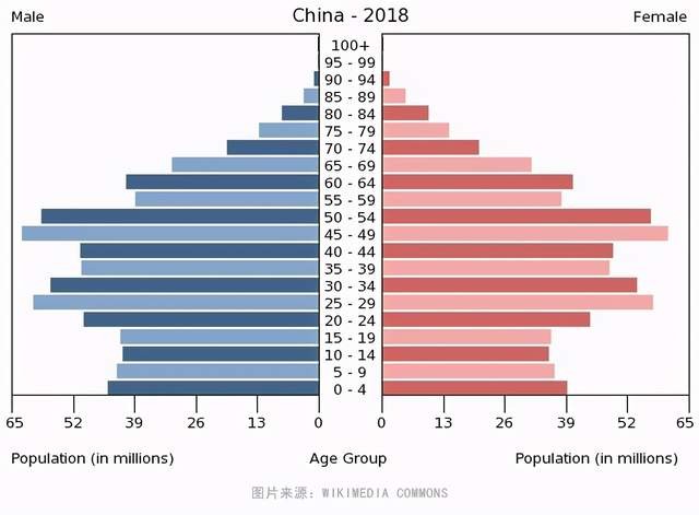 青少年 人口比例_中国青少年人口统计图(2)