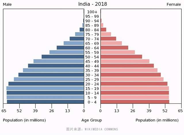 印度年出生人口_2020年印度人口数量(2)
