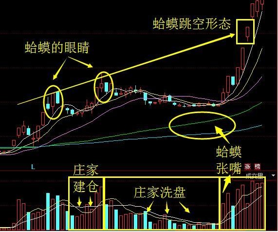 阳k线为蛤蟆跳空的起点3,60,120日均线一直散开延伸,形成蛤蟆张嘴形态