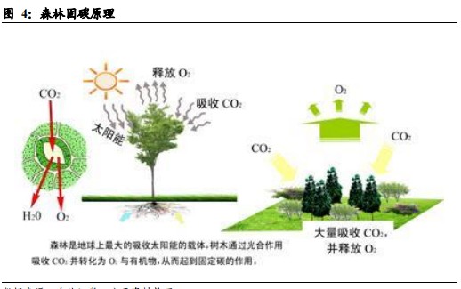 近期A股风向标：喜逢“碳中和”春风，春光似海前景阔
