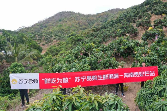 蘇寧易購海南專場開啟花小錢買原產地直採水果第二件優惠10元