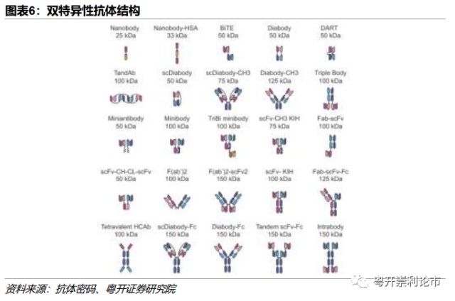 粤开医药深度 | 双抗深度报告（一）：双抗概念、分类及技术平台梳理_财富号评论(cfhpl)股吧_东方财富网股吧