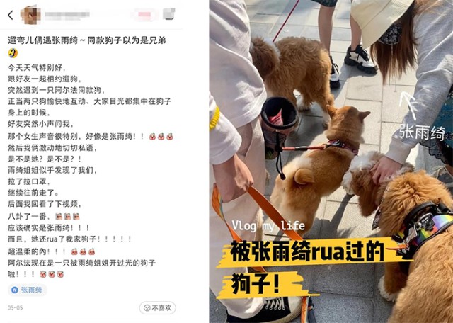 张雨绮与绯闻男友李柄熹遛狗被偶遇和路人亲密互动
