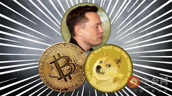 elon-musk-bitcoin-dogecoin-800x450.jpg