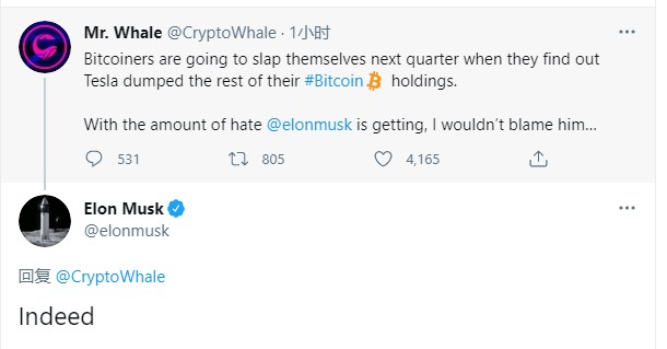 马斯克导致加密货币暴跌原因解析，比特币行情走势分析1