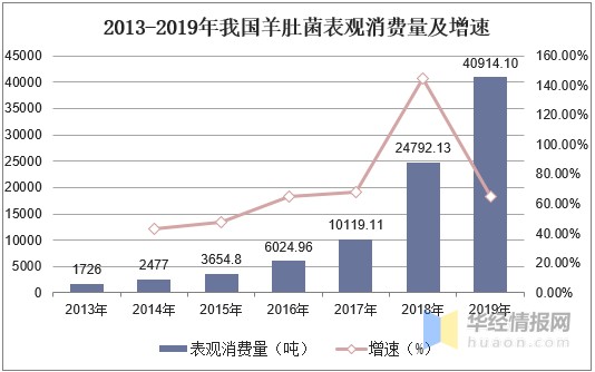 2020年我国羊肚菌产业供需现状分析羊肚菌国际市场潜力巨大