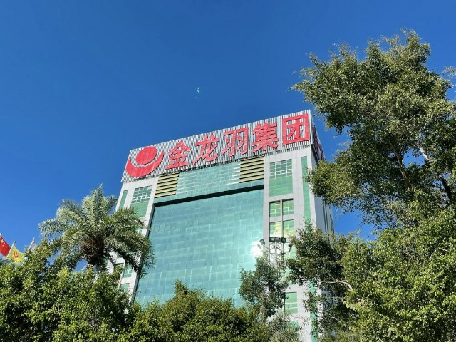直擊股東會(huì)｜業(yè)績(jī)亮眼但仍受兩大問題困擾 金龍羽：將深耕電線電“保守賺錢”