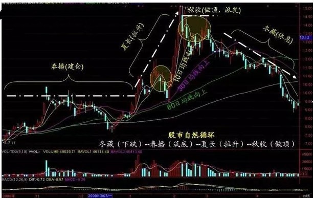 职业操盘手肺腑之言详解涨停板战法龙头战法