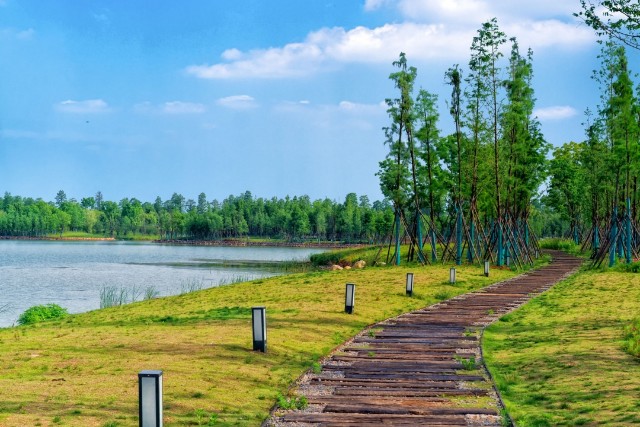 摄图网_500848357_banner_春季（非企业商用）.jpg