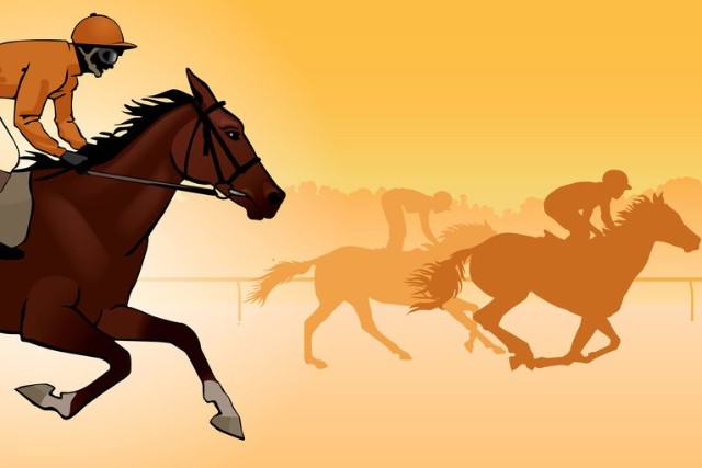 赛马模型选基金有用吗