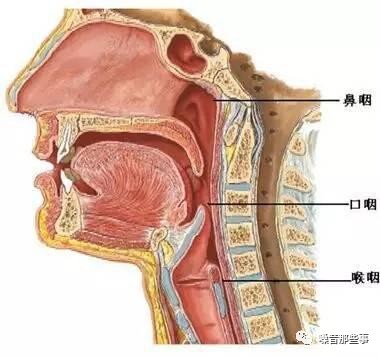 難嚥之隱丨咽炎能治好嗎