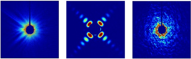 标准样品圆孔,方孔及鹦鹉螺图案的相干衍射图样.