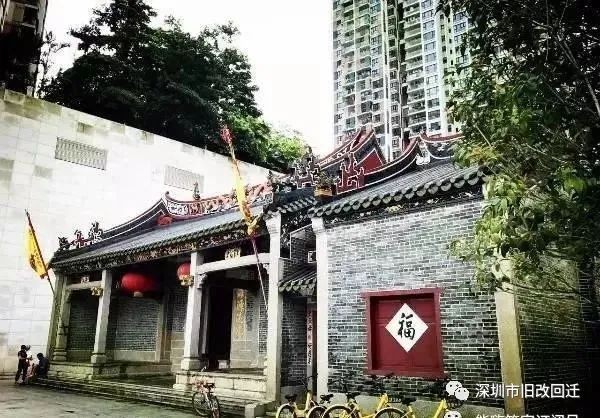 深圳新洲村图片
