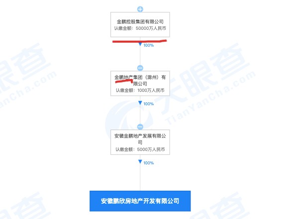安徽鹏欣房地产开发的 鹭湖花园 项目违规售房被罚其系金鹏地产全资子公司 财富号 东方财富网