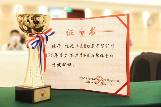 佳兆业首发乡村振兴白皮书“三位一体”打造乡村善治新格局