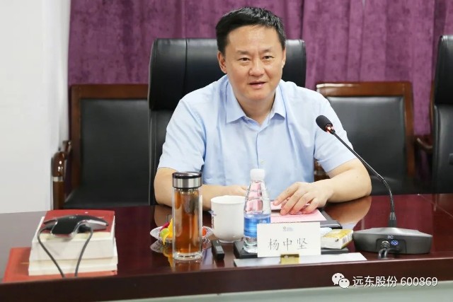 启东市长杨中坚一行参访远东