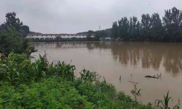 郑州郑州勿忘泄洪区的扶沟