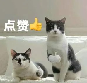 这半年的保险理赔数据有啥新东西？