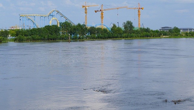 8月13日,黑龙江大黑河岛植物园及附近沿岸区域被淹.