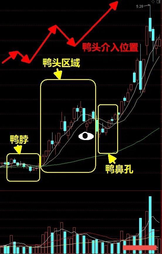 老鸭头形态精髓讲解抓波段低吸